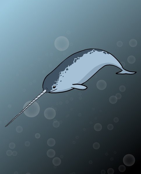 Нарвал раскраска