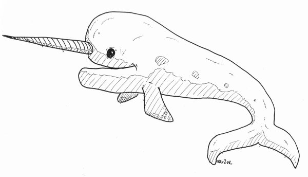 Нарвал рисунок