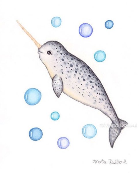 Нарвал рисунок