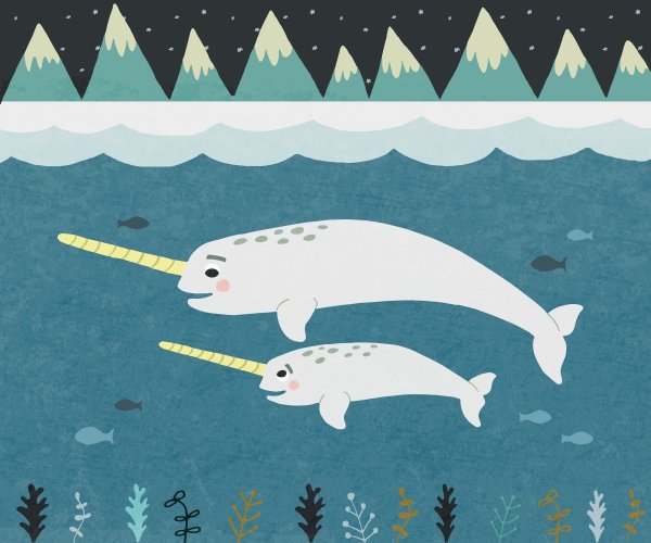 Нарвал рисунок