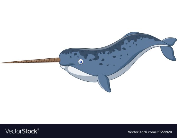 Нарвал персонаж