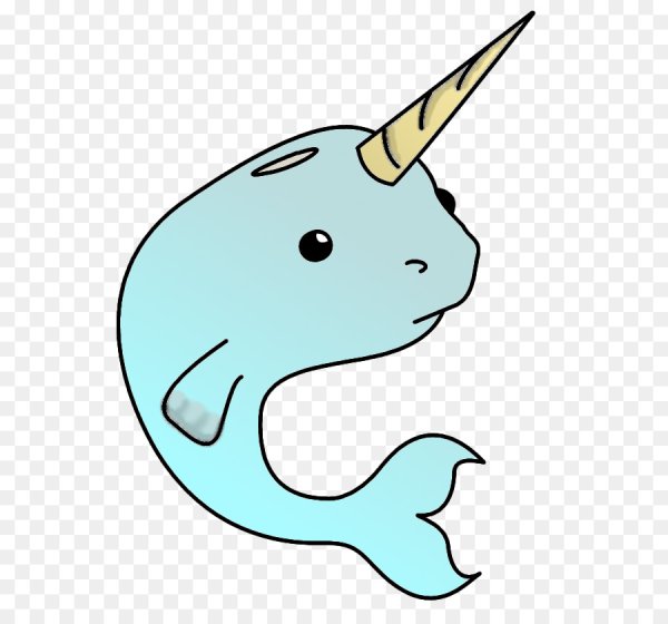 Нарвал карандашом