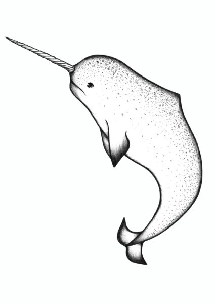 Кит-нарвал с рогом