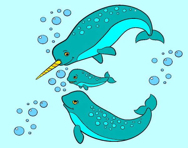 Нарвал эскиз