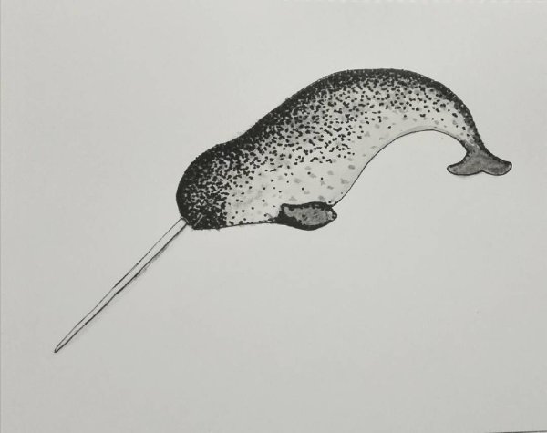 Нарвал малыш