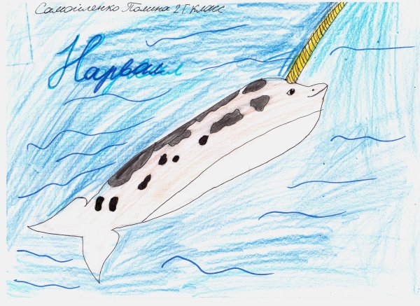 Нарвал в линейном стиле