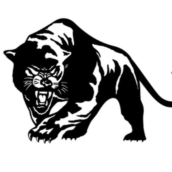 ОДОН пантера