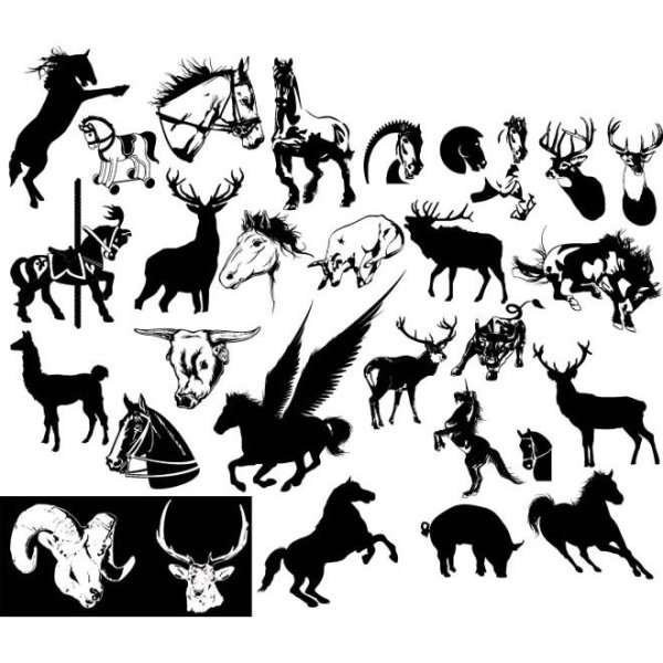 Красивые силуэты животных