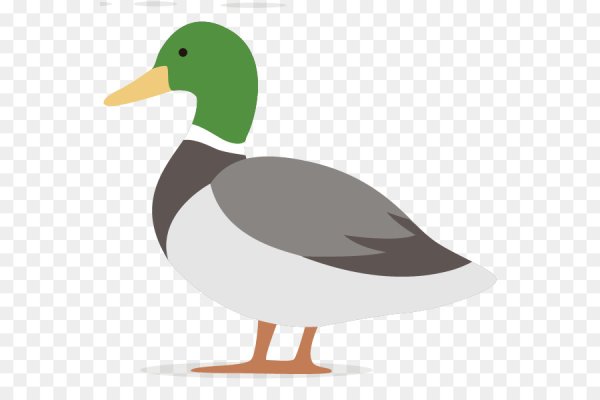 Векторное изображение утки