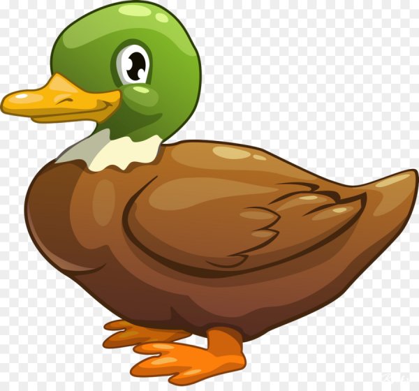 Уточка для детей