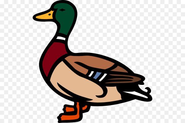 Селезень мультяшный