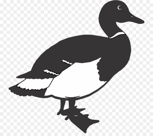 Утка вектор