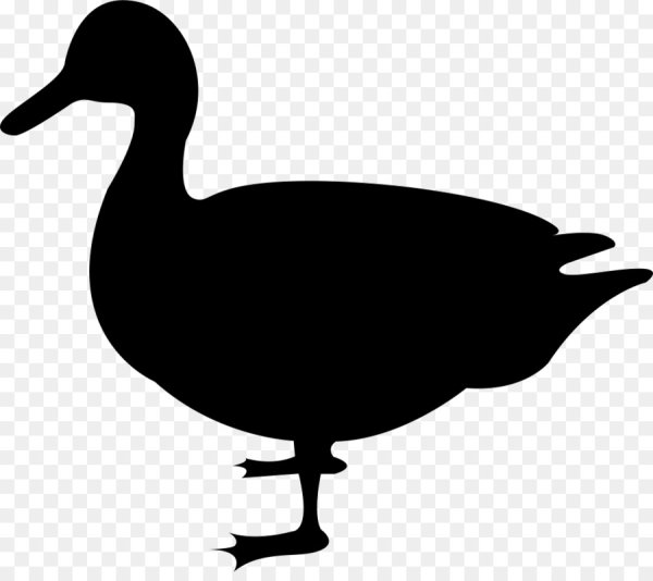 Утка пиктограмма