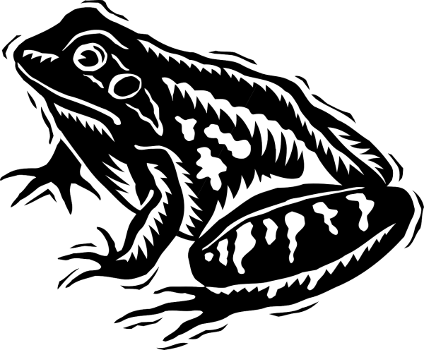 Лягушка Векторная Графика