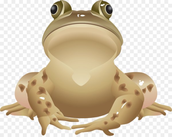 Жаба вектор