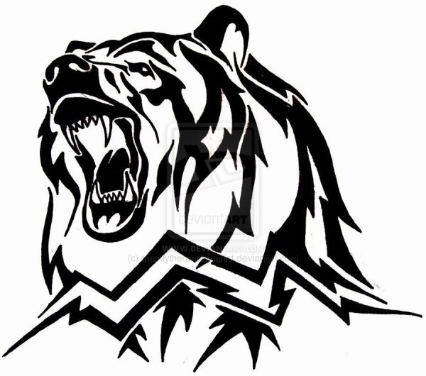 Оскал медведя тату эскиз
