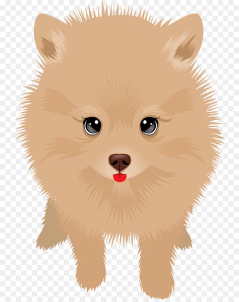 Шпиц мультяшка