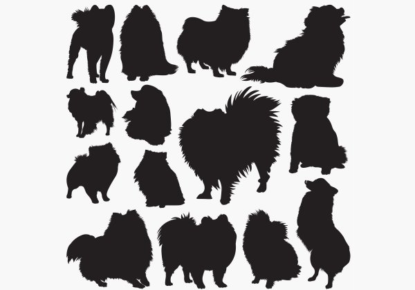 Померанский шпиц силуэт