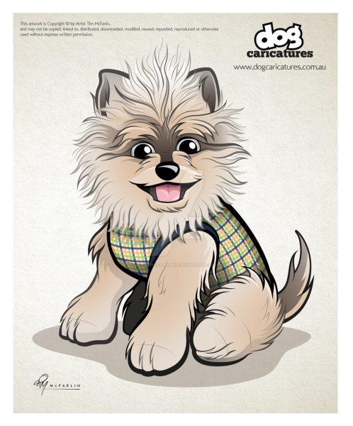 Шпиц карикатура