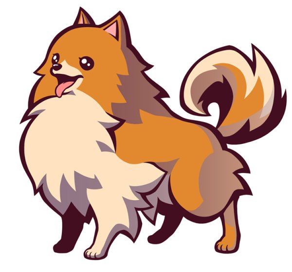 Шпиц Векторная Графика