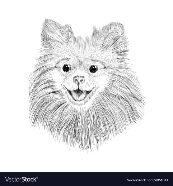 Померанский шпиц трафарет