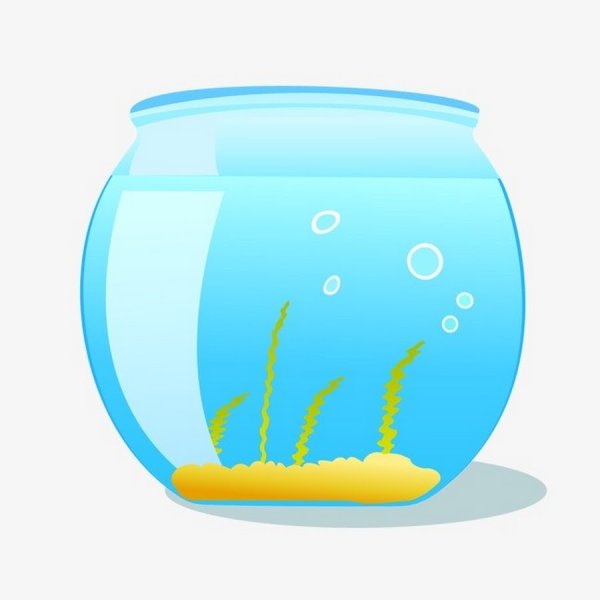 Аквариум без рыбок