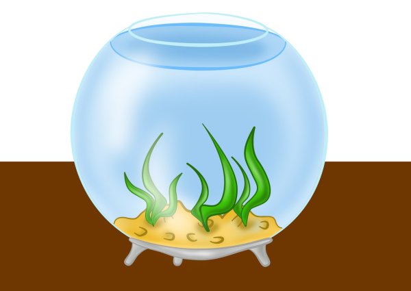 Аквариум круглый вектор