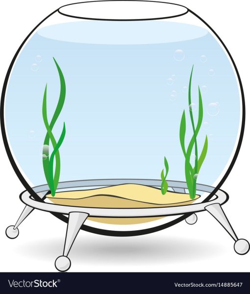 Аквариум силуэт