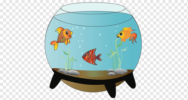 Аквариум с рыбками для детей