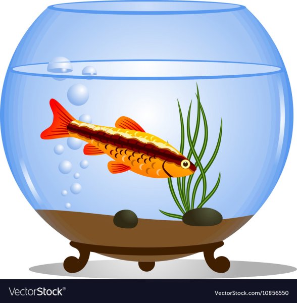 Аквариум для детей