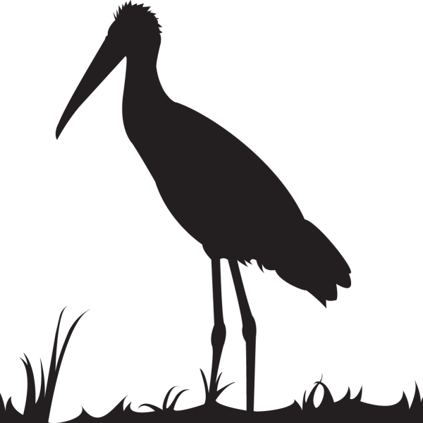 Аист трафарет