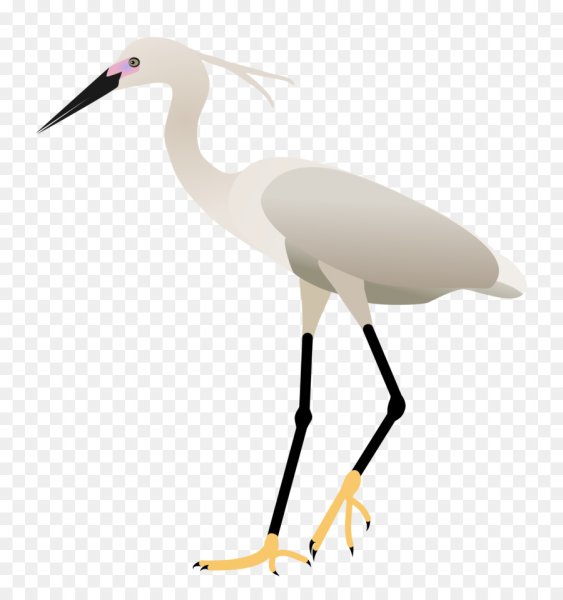 Цапля на белом фоне