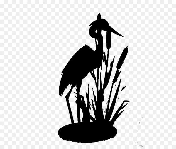 Серая цапля силуэт