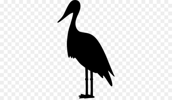 Очертания аиста