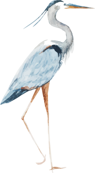 Аист акварель