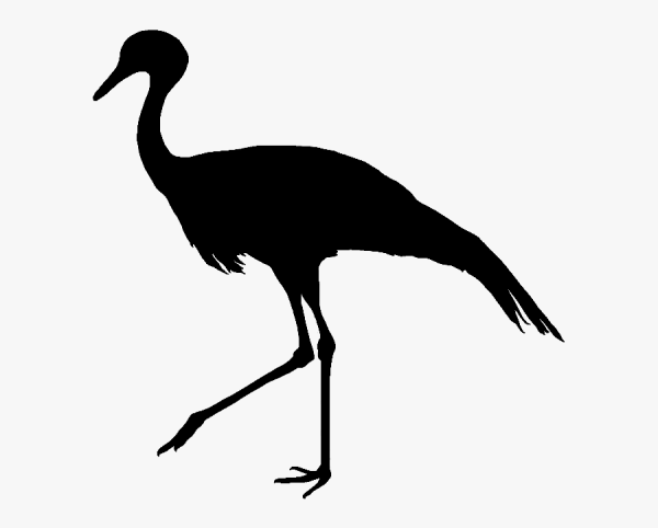 Журавль красавка силуэт