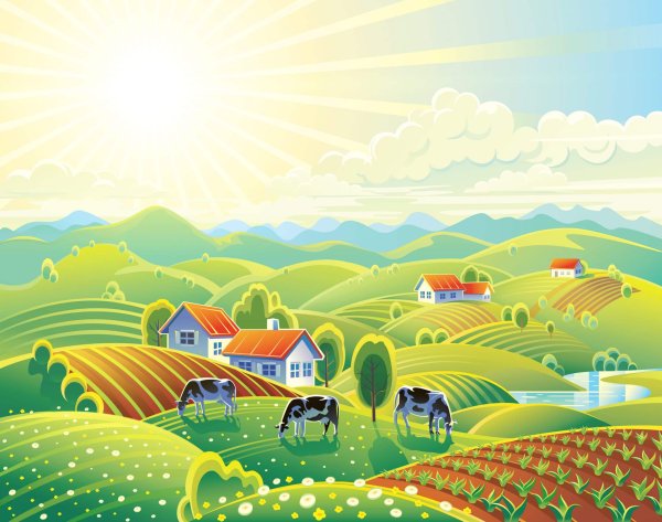 Стилизованное поле