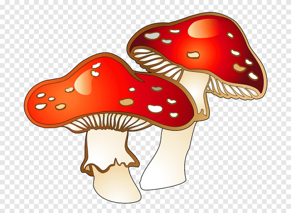 Мухоморы мультяшные