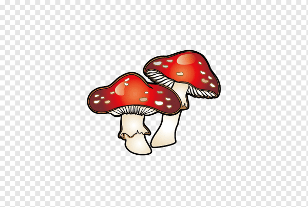 Мухомор вектор