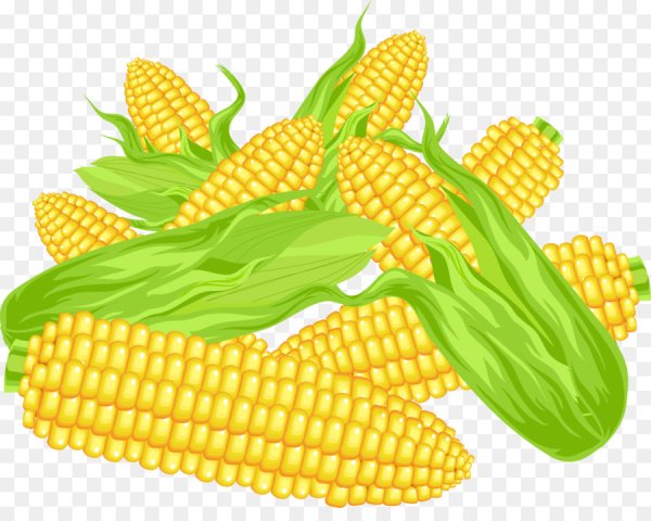 Вареная кукуруза вектор
