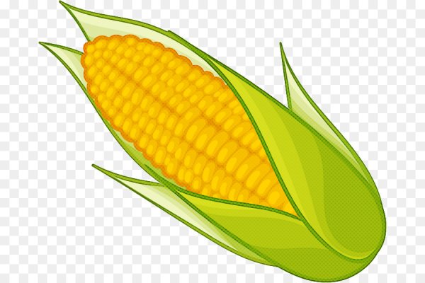 Кукуруза вектор