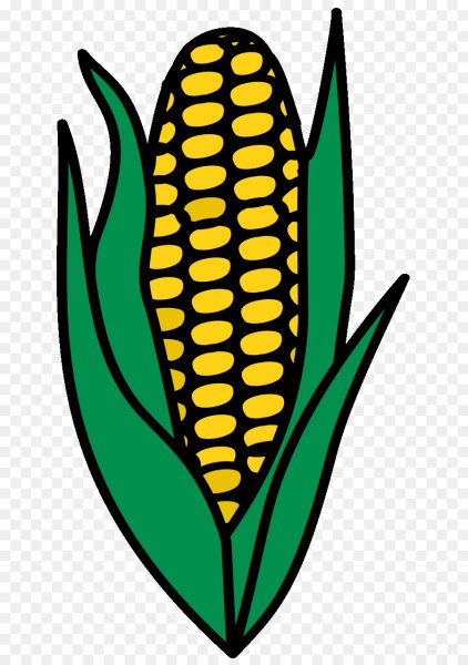 Кукуруза початок