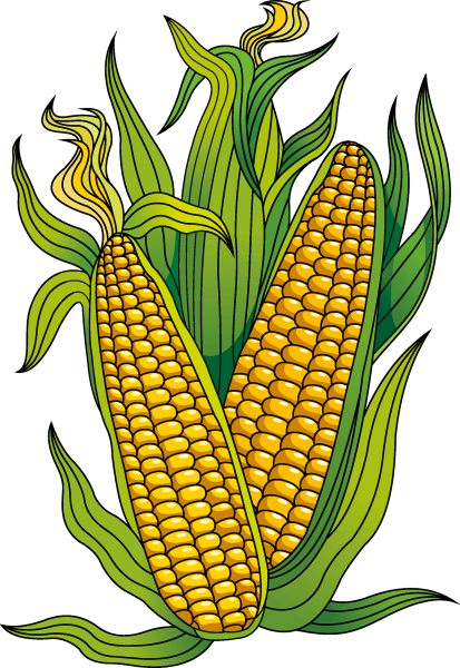 Лист кукурузы вектор