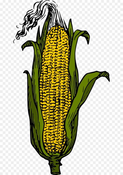 Кукурузный початок вектор