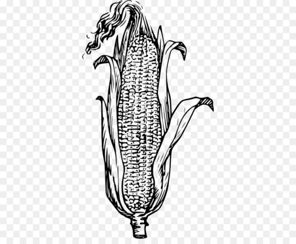 Кукуруза чб