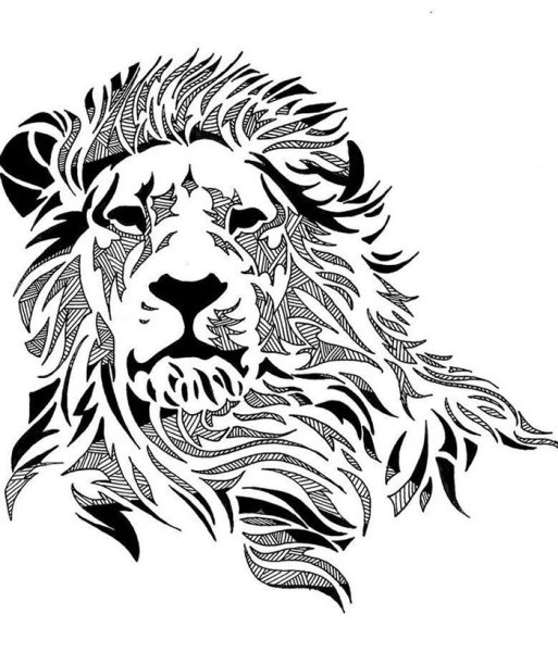 Лев векторное изображение