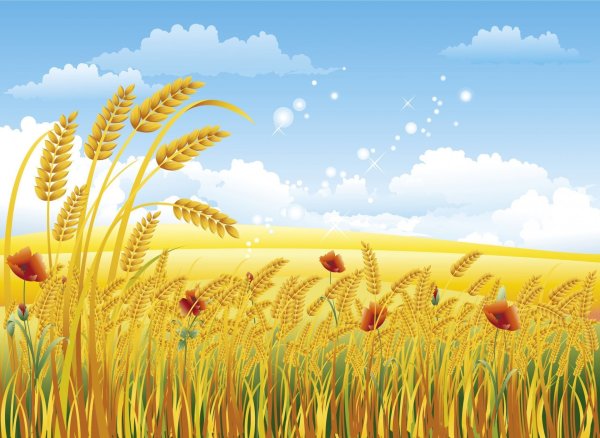 Рисование пшеничное поле