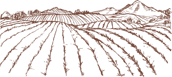 Раскраска поле