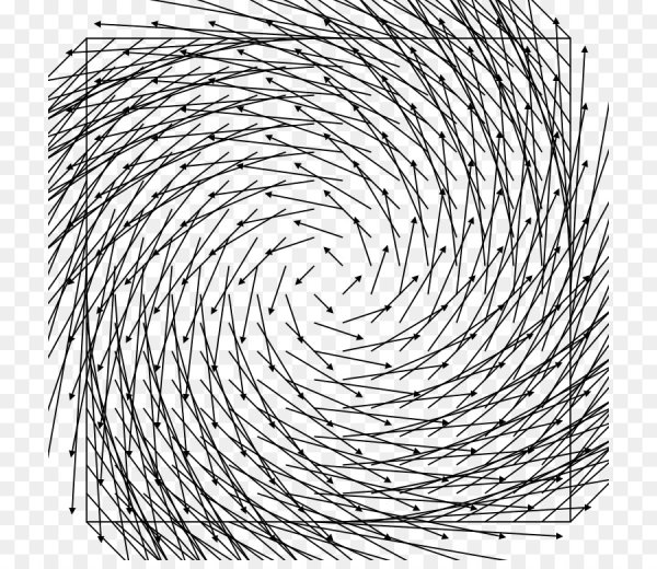 Векторное поле это математика