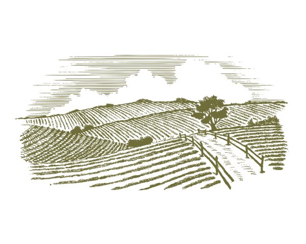 Пшеничное поле гравюра